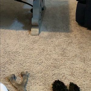 Meet your Posher, Raymond